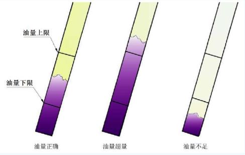 图片10